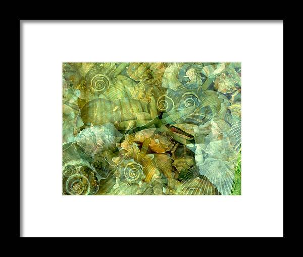 Seashells Framed Print featuring the photograph Ocean Gems Underwater by Lynda Lehmann