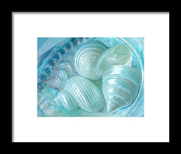 Seashell Framed Print featuring the photograph Ocean Pearl Treasure by Gill Billington
