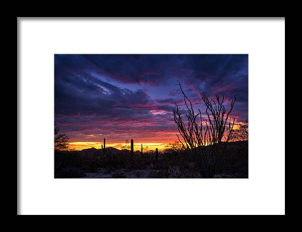 Monsoon Framed Print featuring the photograph Ocotillo Sunset by Saija Lehtonen