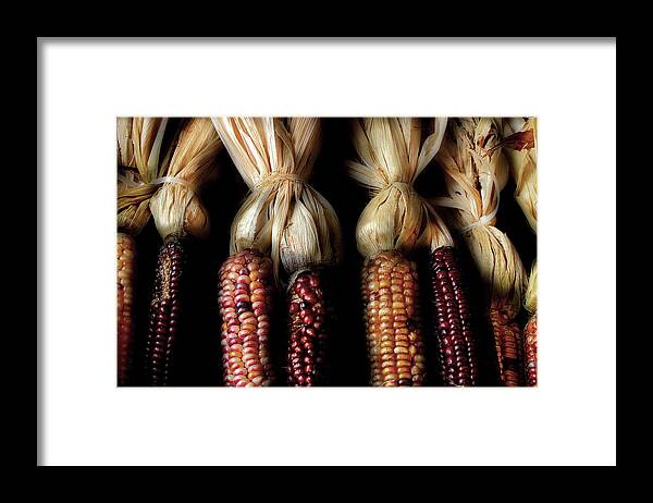 Indian Corn Framed Print featuring the photograph October Corn by Michael Eingle