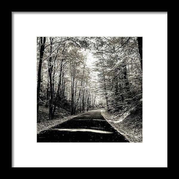  Framed Print featuring the photograph October Grayscale by Kendall McKernon