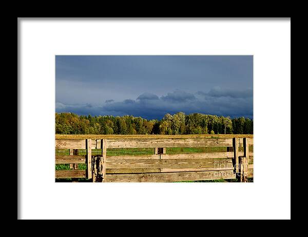 Landscapes Framed Print featuring the photograph October Light by Tatyana Searcy