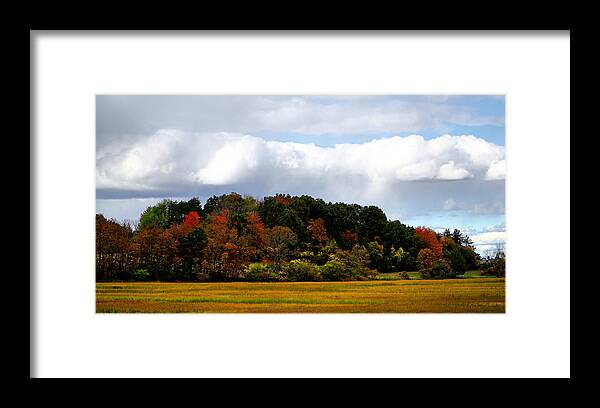 October Framed Print featuring the photograph October by Lilia S