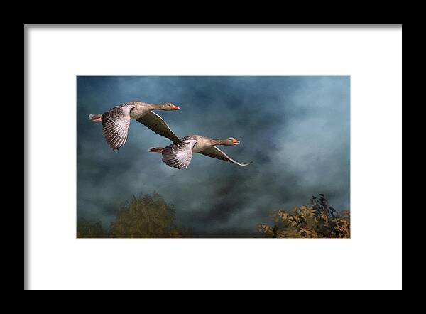 October Framed Print featuring the photograph October Skies by David Dehner