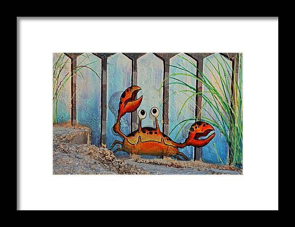 Ocypoid Crab Framed Print featuring the photograph Ocypoid Crab by Michiale Schneider