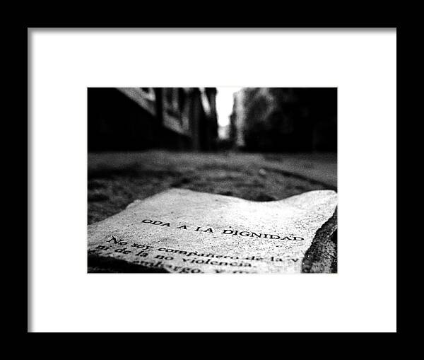Buenos Aires Framed Print featuring the photograph Oda a la Dignidad by Osvaldo Hamer