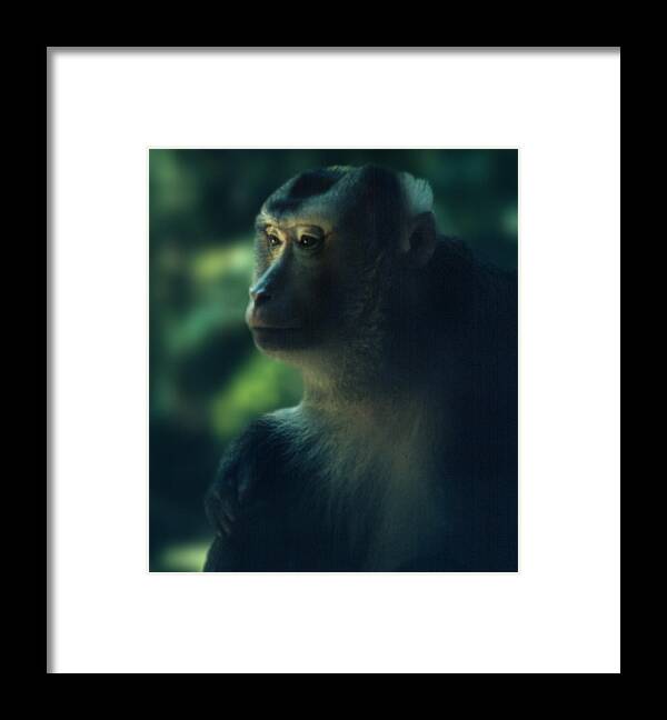  Framed Print featuring the photograph Off In Thought by Ben Kotyuk