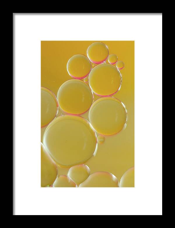 Water Framed Print featuring the photograph Oil bubbles on water abstract by Andy Myatt