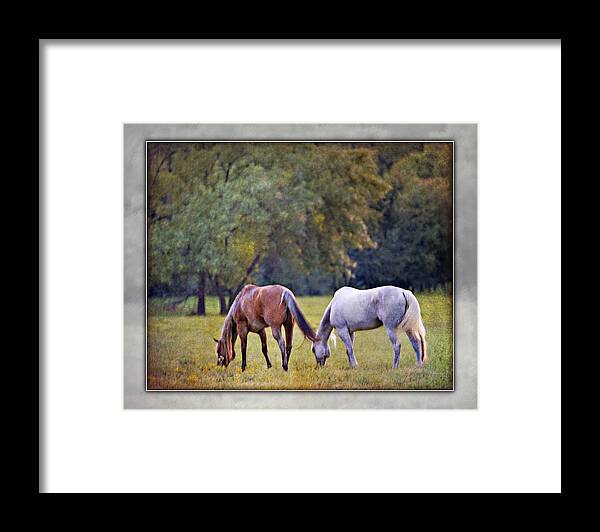 Ok Horse Ranch Framed Print featuring the photograph Ok Horse Ranch_2b by Walter Herrit