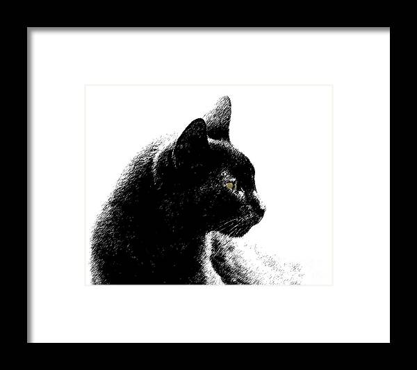 Old Black Cat Framed Print featuring the photograph Old Black Cat Two by Lila Fisher-Wenzel