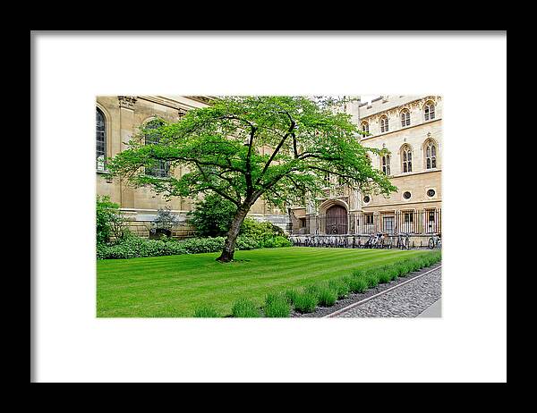 Old Court Framed Print featuring the photograph Old court. Clare College. by Elena Perelman
