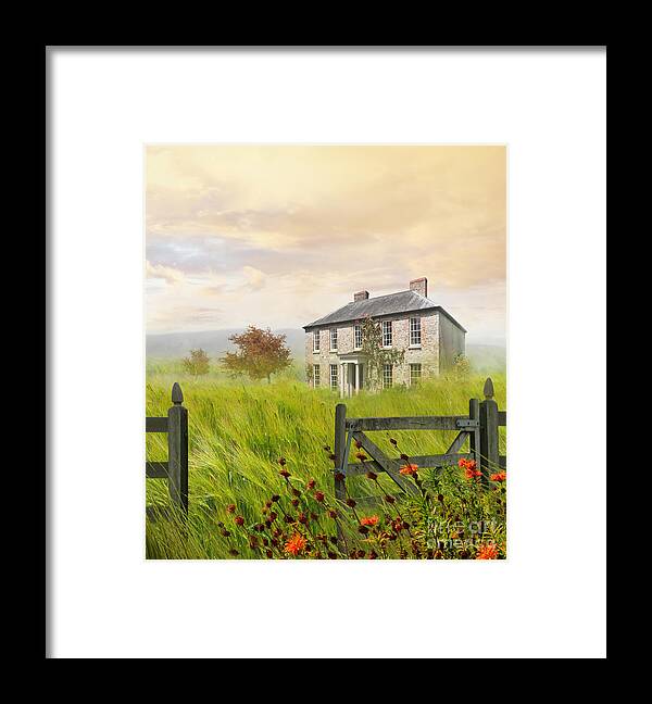Bird Framed Print featuring the photograph Old farmhouse in wheat field by Sandra Cunningham