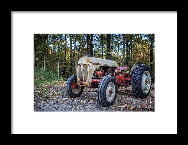 Springfield Framed Print featuring the photograph Old Ford Vintage Tractor in the Woods by Edward Fielding