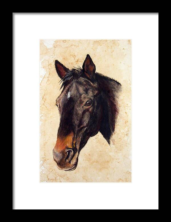 Horse Framed Print featuring the drawing Old Friend by Debra Jones