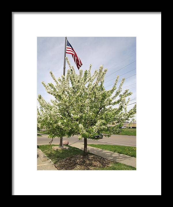 Photography Framed Print featuring the photograph Old Glory by Glenda Crigger
