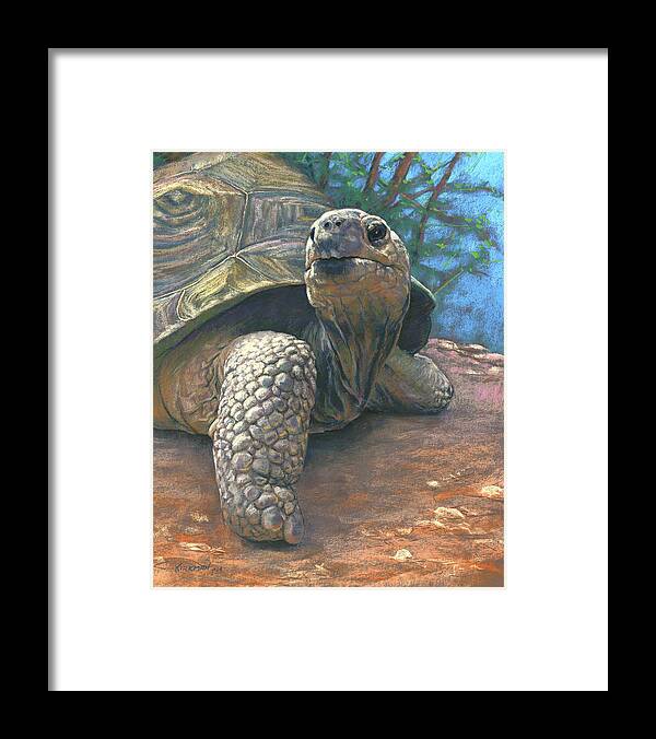 Animals Framed Print featuring the pastel Old Man Tortoise by Rita Kirkman