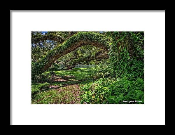 Lady Lake Framed Print featuring the photograph Old Oak by Christopher Holmes