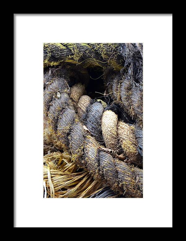 Old Rope Framed Print featuring the photograph Old Rope by Carla Parris