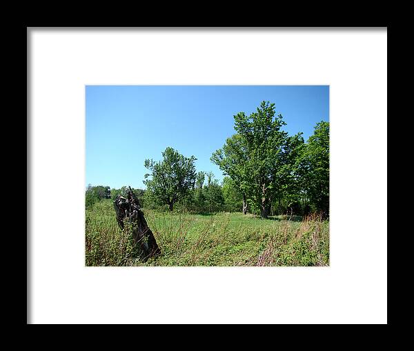 Landscape Framed Print featuring the photograph Old Stump by Todd Zabel