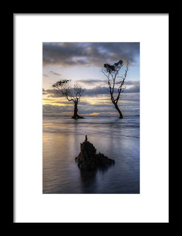 2015 Framed Print featuring the photograph Old Trees by Robert Charity