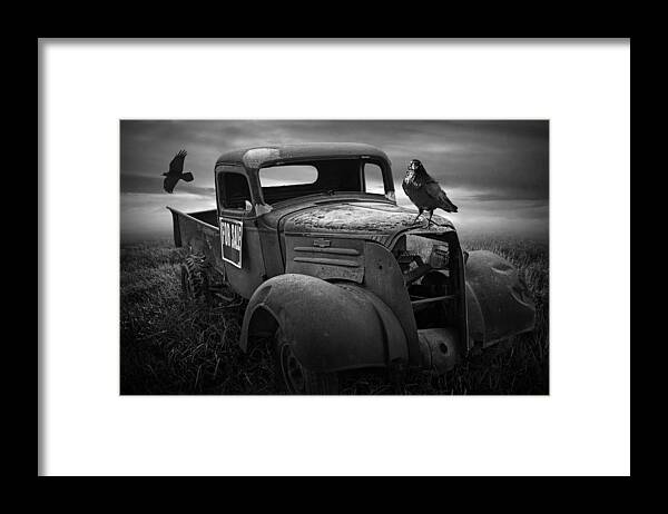 Vintage Framed Print featuring the photograph Old Vintage Chevy Pickup Truck with Ravens by Randall Nyhof
