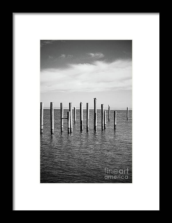 Old Pilings Framed Print featuring the photograph Old Wood Pilings in Water by Colleen Kammerer