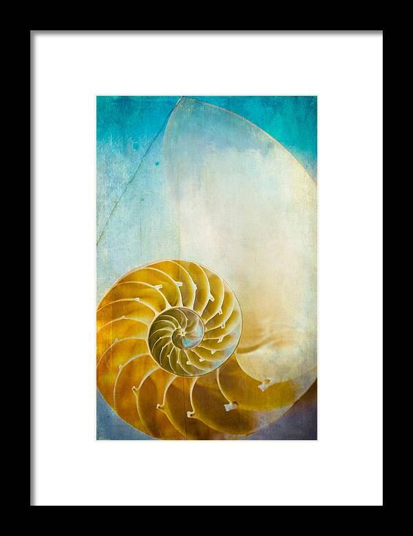 Nautilus Framed Print featuring the photograph Old World Treasures - Nautilus by Colleen Kammerer