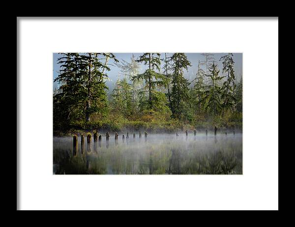 Forest Framed Print featuring the photograph Olympic Peninsula by Gary Migues