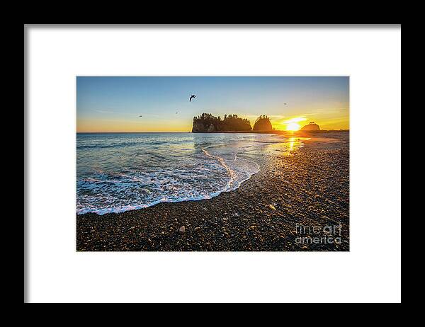 Sunset Framed Print featuring the photograph Olympic Peninsula Sunset by Martin Konopacki