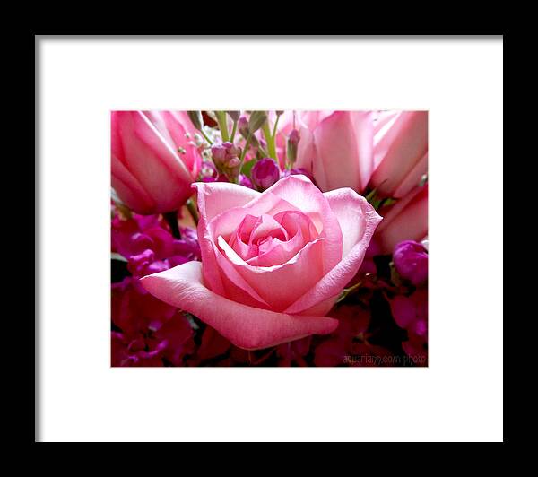 Rose Bouquet Framed Print featuring the photograph Ombre Pink Rose Bouquet by Kristin Aquariann