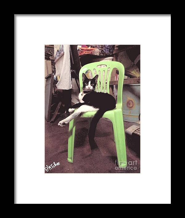Cat Framed Print featuring the photograph On A Chair by Sukalya Chearanantana