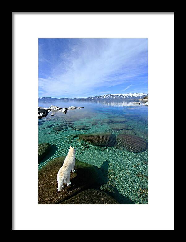 Lake Tahoe Framed Print featuring the photograph On A Clear Day You Can See Forever by Sean Sarsfield