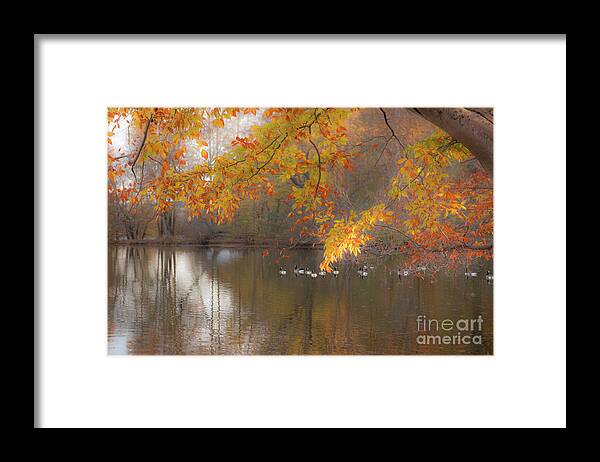 Fall Framed Print featuring the photograph On Golden Pond by Dale Powell