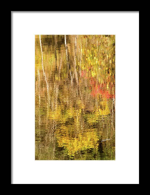Pond Framed Print featuring the photograph On Golden Pond by Jurgen Lorenzen