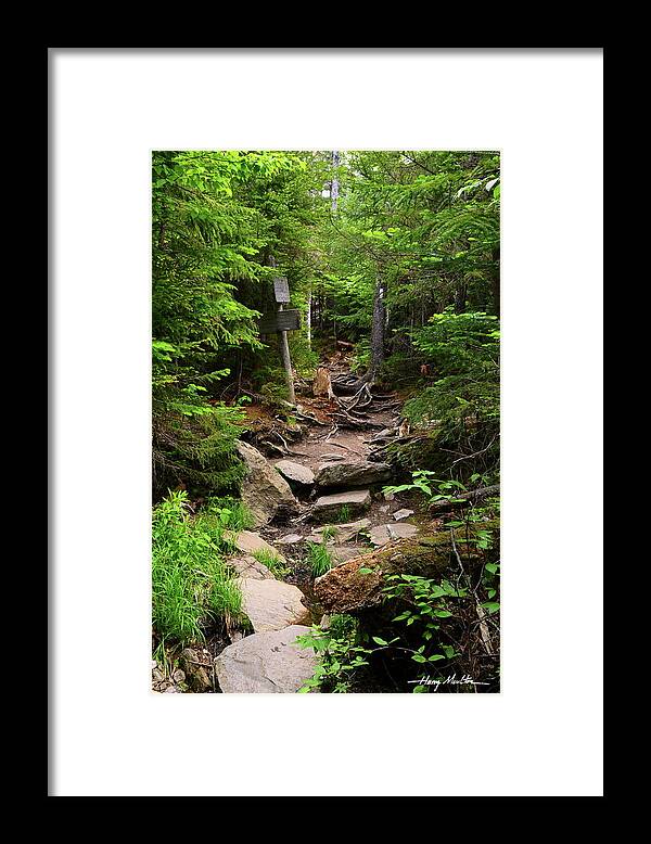 Mountains Framed Print featuring the photograph On The Appalachain Trail by Harry Moulton