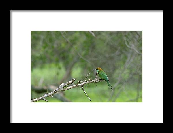 Edge Framed Print featuring the photograph On the Edge by Ramabhadran Thirupattur
