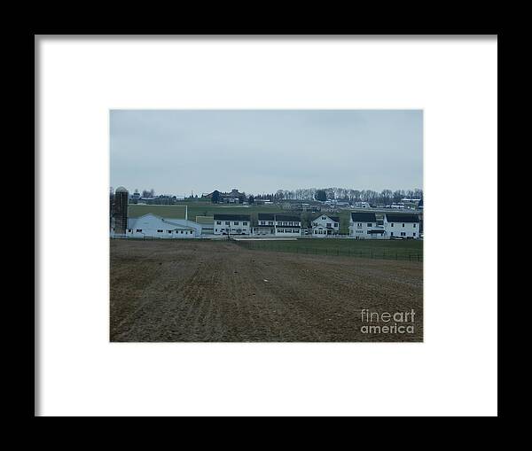 Amish Framed Print featuring the photograph On the Homestead by Christine Clark