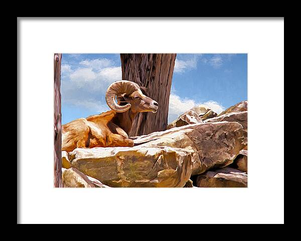 Ram Framed Print featuring the painting On the Rocks by Rick Mosher