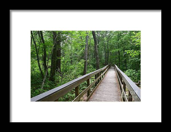 Upper Roaring Brook Framed Print featuring the photograph On the Trail by Leslie M Browning