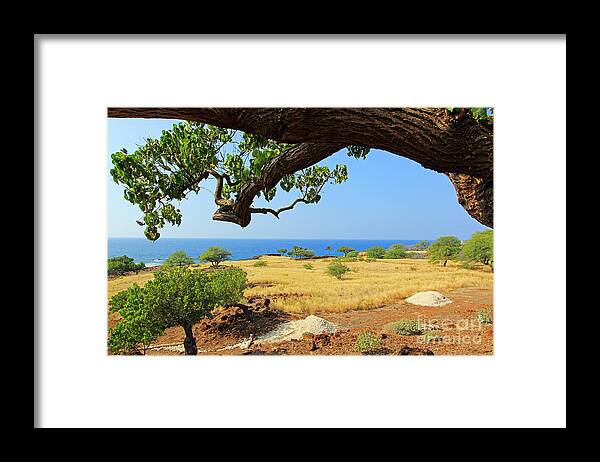 Lapakahi State Historical Park Framed Print featuring the photograph On the Way to Lapakahi by Jennifer Robin
