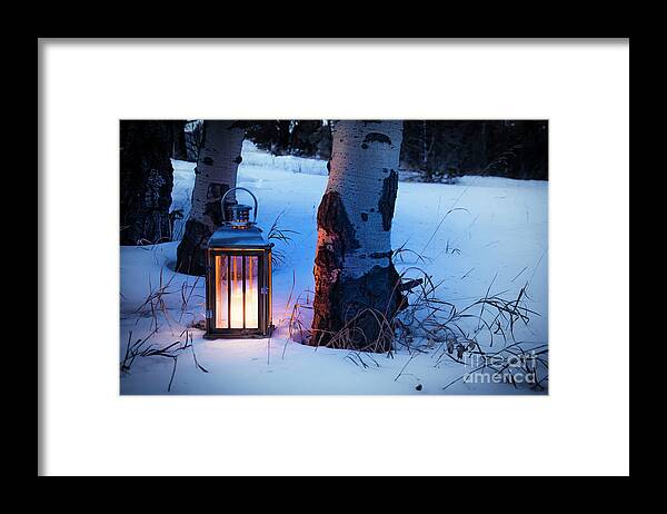 Winter Framed Print featuring the photograph On This Winter's Night... by The Forests Edge Photography - Diane Sandoval