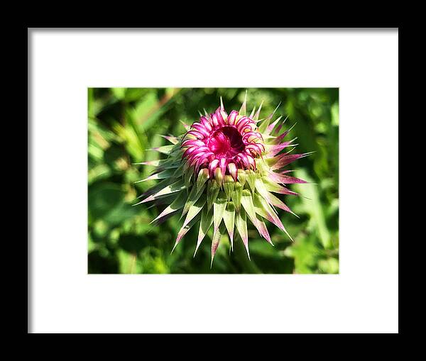 Art Framed Print featuring the photograph Once Upon a Dream by Jeff Iverson