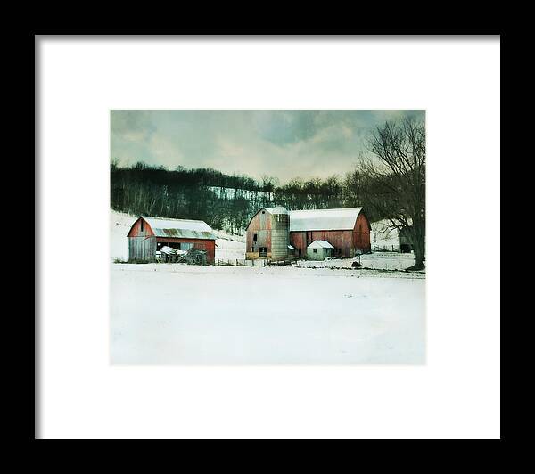 Barn Framed Print featuring the photograph Once was Special by Julie Hamilton