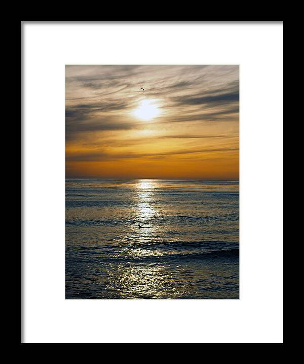 Royal Palms Framed Print featuring the photograph One Left by Joe Schofield