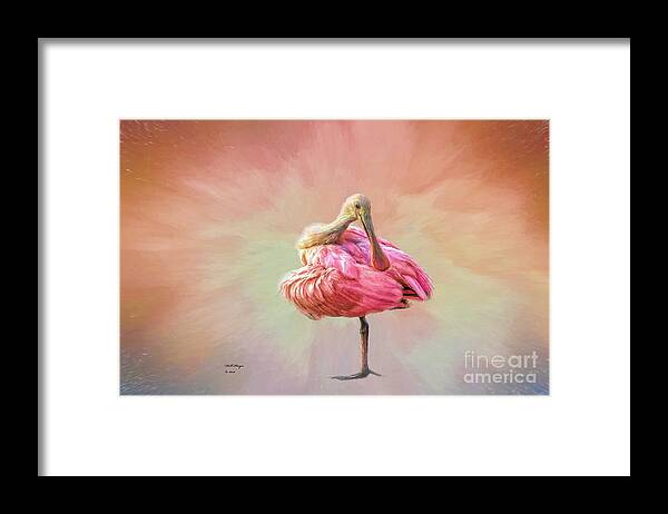Florida Framed Print featuring the mixed media A Mother Nature's Masterpiece III by DB Hayes