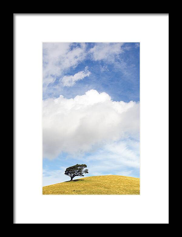 Landscape Framed Print featuring the photograph One Tree Hill by Mal Bray