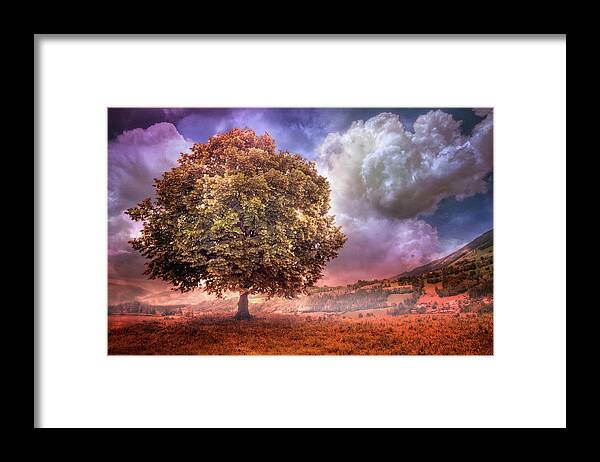 Appalachia Framed Print featuring the photograph One Tree in the Meadow by Debra and Dave Vanderlaan
