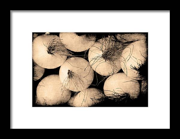 Onions Framed Print featuring the photograph Onions by Jennifer Wright
