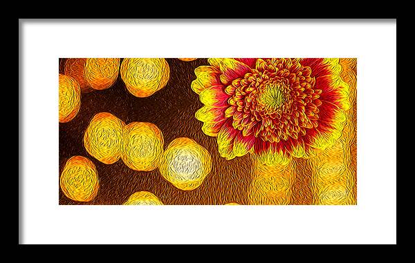 Abstract Framed Print featuring the photograph Orange and Red Chrysanthemum Oil Painting Art by John Williams