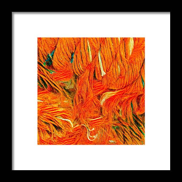 Colette Framed Print featuring the photograph Orange Art by Colette V Hera Guggenheim